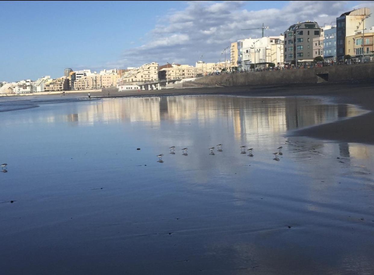 Las Canteras Beach Las Palmas de Gran Canárias Exterior foto